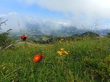 IMG_20230717_132459