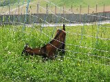 IMG_20230719_120835