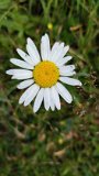 IMG_20230720_114741