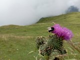 IMG_20230720_120726