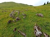 IMG_20230720_121707