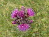 IMG_20230720_131958
