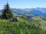 IMG_20230715_134517