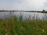 IMG_20230717_132036