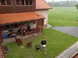 Temesvar