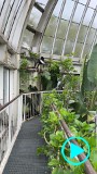 Botanicus-v1