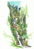04_Moassl_Wasserfall