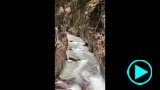 video-souteska