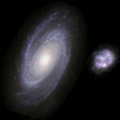 Mladá a stará struktura (avi, 3 MB)
