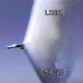 Tomcat (mpg, 2 MB)