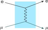 Rozptyl elektronu a mionu