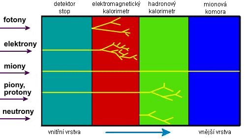 Částice