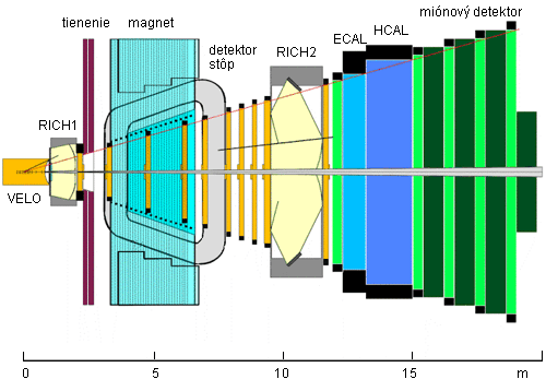 LHCb