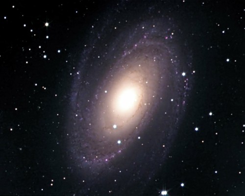 M81