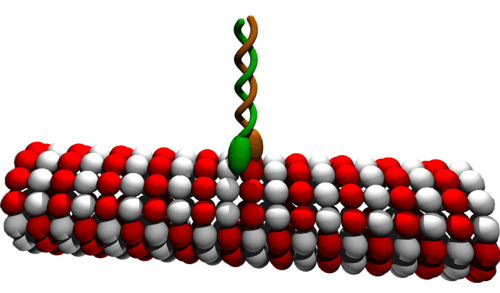 Schema mikrotubulu