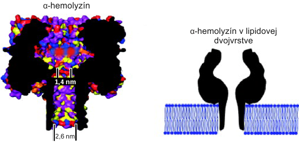 Hemolyzín