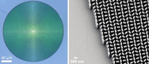 Celkový pohľad na metašošovku a detail nanoštruktúry