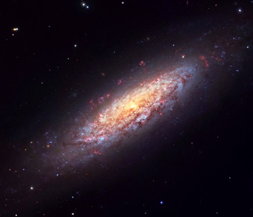 NGC 6503