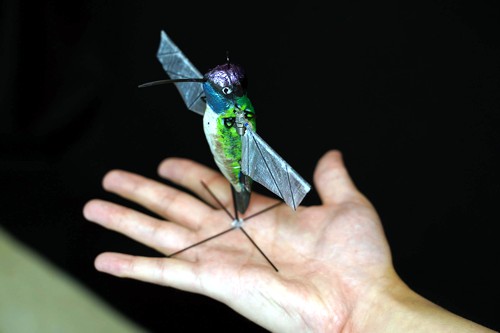 Robotičtí kolibříci z Purduovy univerzity