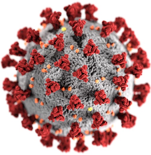 Koronavirus