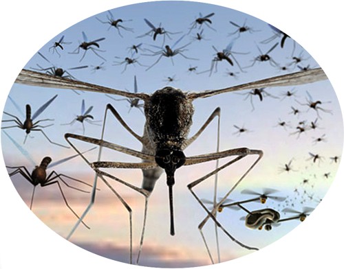 Umělecké ztvárnění dronu vypouštějící sterilní komáry