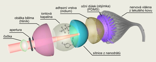 Schéma jednotlivých částí biomimetického oka EC-EYE