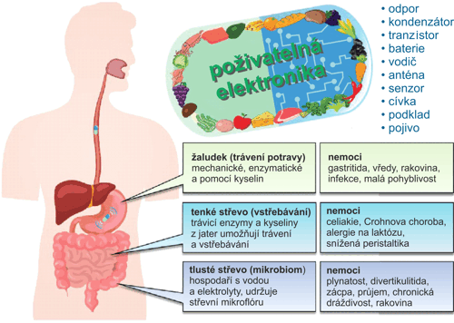 Seznam součástek sloužících ke konstrukci poživatelné elektroniky a aplikace výsledných zařízení v zažívacím traktu