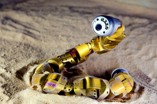 Hadí robot z Univerzity Carnegieho–Mellonových dokáže vystoupat i na písečné svahy