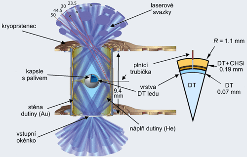 Schema duté komůrky