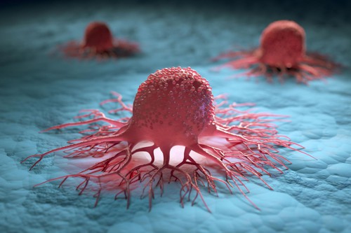 Vizuál buněk nádorového bujení