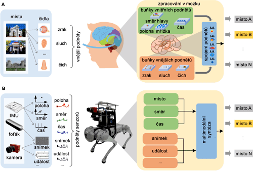 Čtyřnohý robot vybavený systémem NeuroGPR