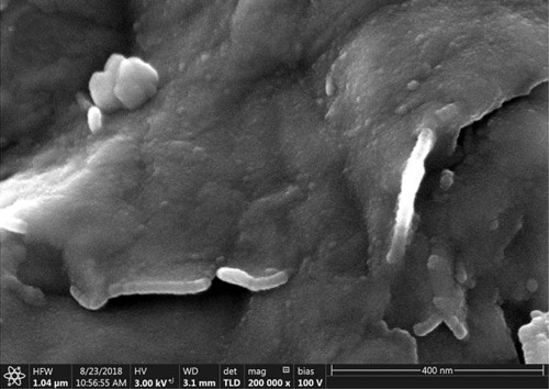 Snímek oxidovaných částic meteoritu Campo del Cielo ze skenovací elektronové mikroskopie