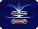 Experiment TeachSpin™ (aplet)