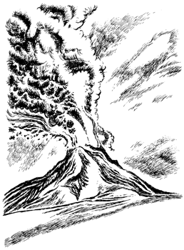 Projevy slabé interakce – vulkány