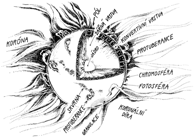 Vnitřní struktura Slunce