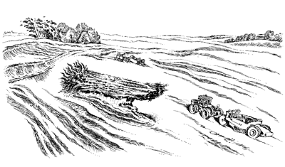 Země – záznamy o přepólování v darmaňonu jižním