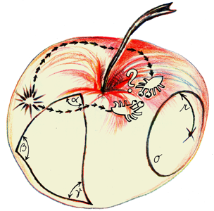 Jablko a placatky