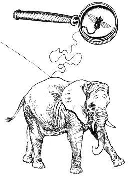 Srážka s nepoměrem hmotností