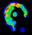 Cygnus Loop - asov mlhovina v RTG