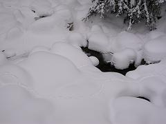 DSCN9594