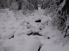 DSCN9595