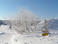 PICT0170