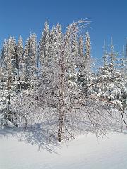 PICT0177