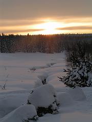 PICT0238