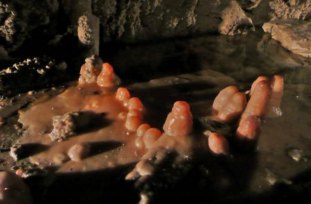 Pomal rst stalagmit