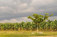 _DSC1509