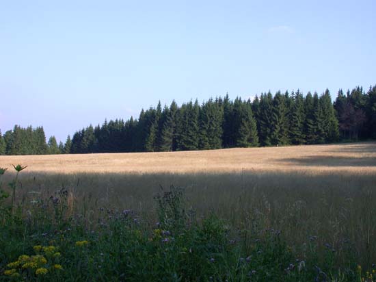 DSCN7996