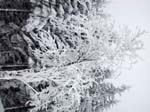 DSCN0065