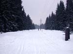DSCN0124