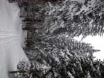 DSCN0148